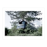 Blue hut on the tree (Print Only) thumbnail