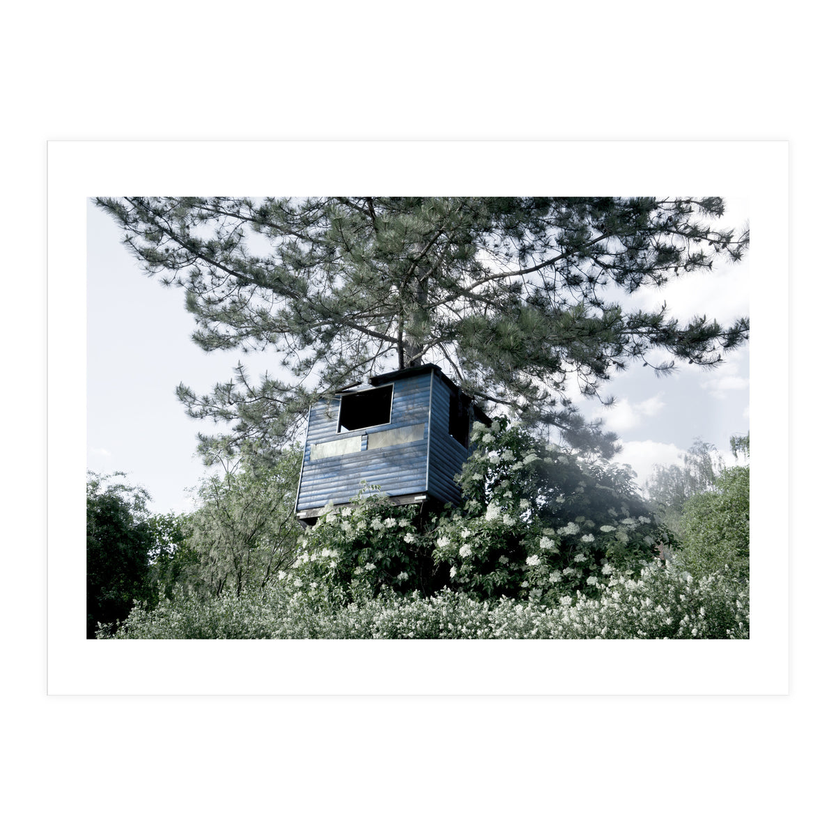 Blue hut on the tree (Print Only)