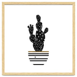 Black Cactus thumbnail