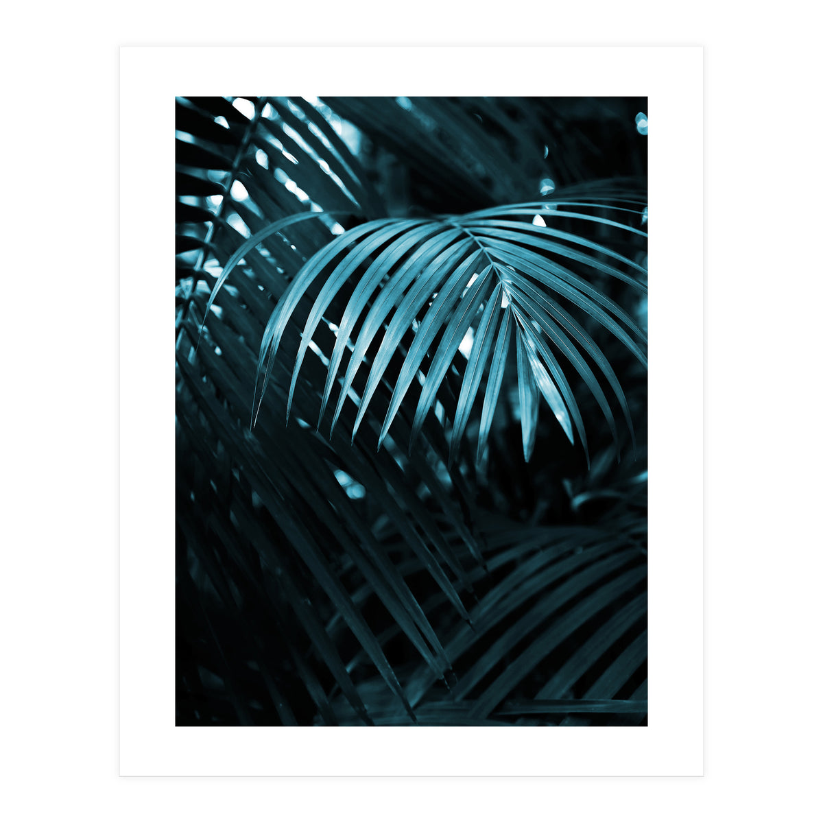 Blue Jungle Palm Ii (Print Only)