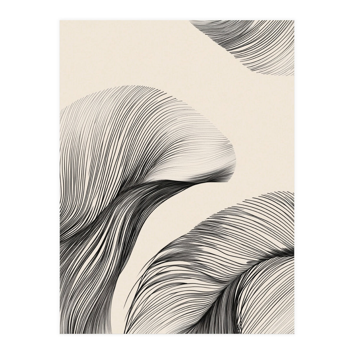 Black And White Flowing Lines Organic Shapes  (Print Only)
