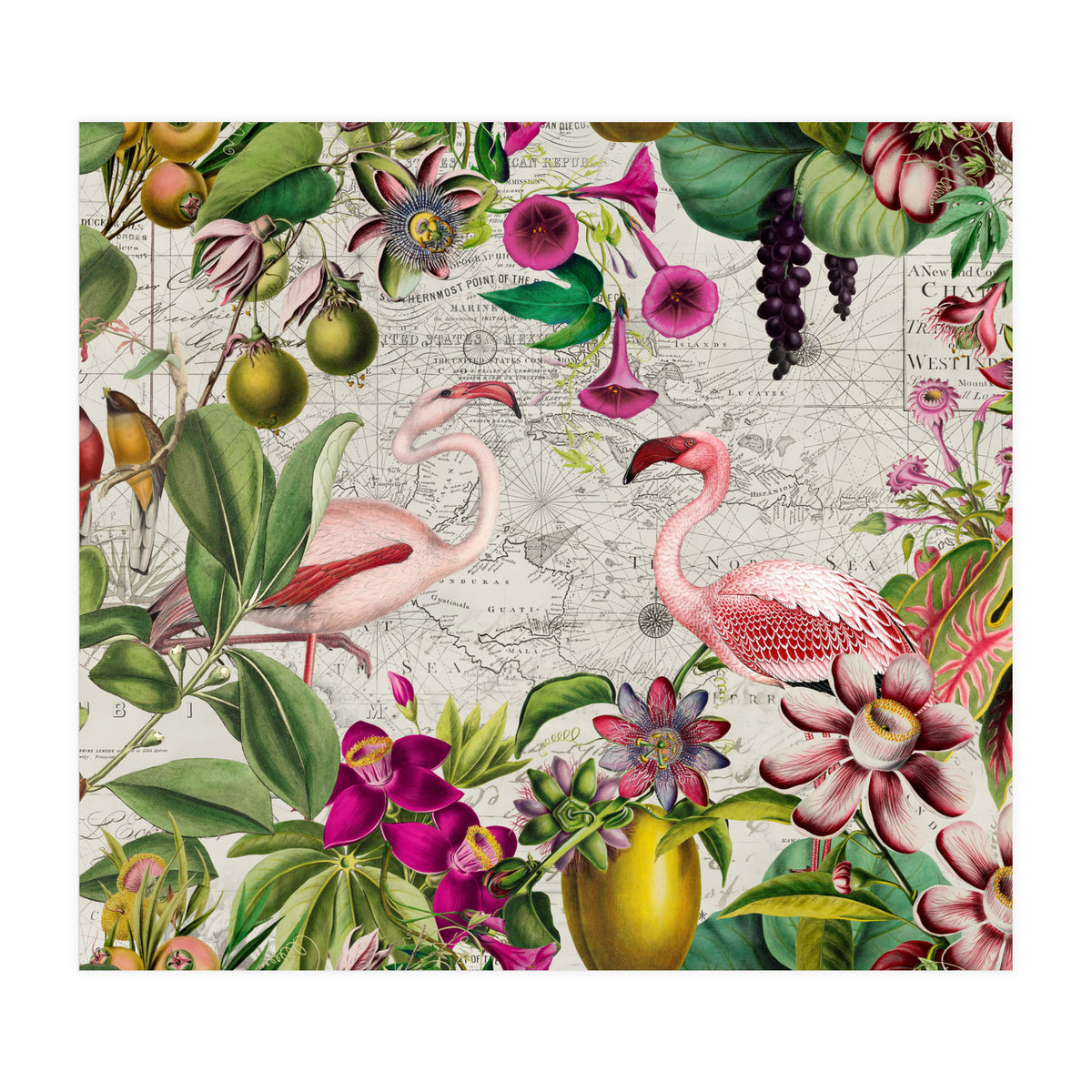 Flamingo Island 2 (Print Only)