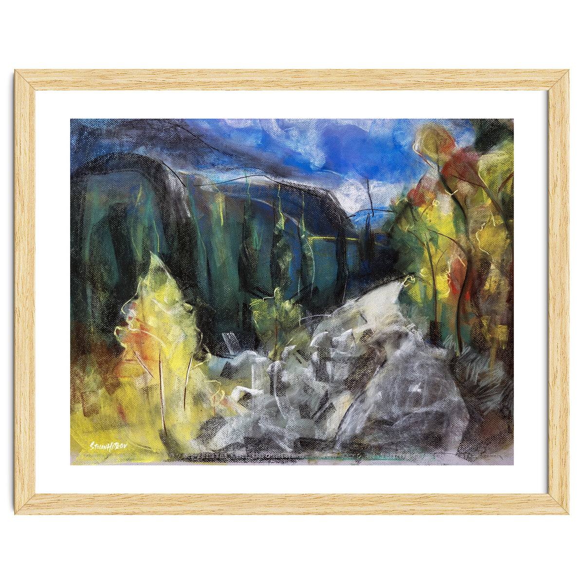 The Forest of Rila Mountain