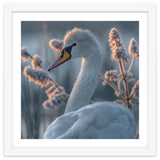 Swan Portrait Dew Drops Morning Light thumbnail