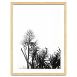 Miminalist Palm thumbnail