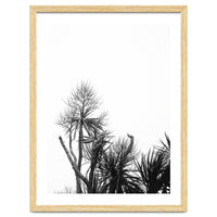 Miminalist Palm