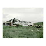 Sheep with a farmhouse - Iceland  (Print Only) thumbnail