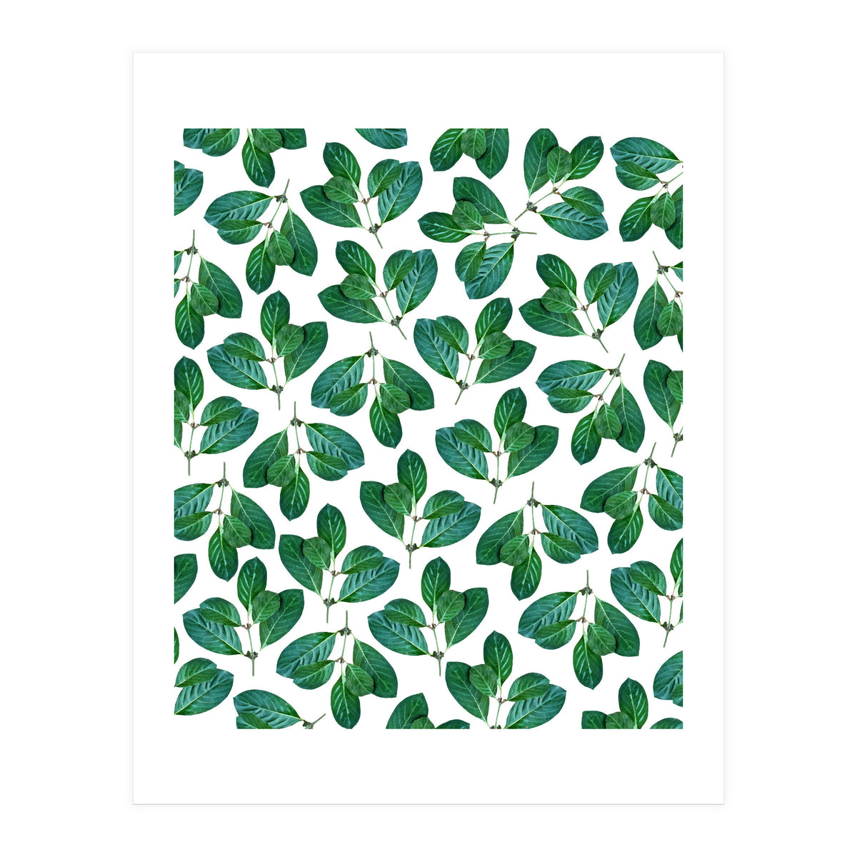 Lemon Leaf (Print Only)