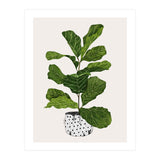 Fiddle Leaf Fig Tree Plant (Print Only) thumbnail