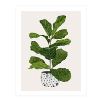 Fiddle Leaf Fig Tree Plant (Print Only)