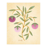 Vintage Fruits (Print Only) thumbnail