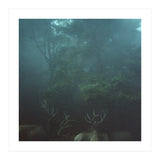Silence of breath - 12 (Print Only) thumbnail