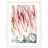 Delicate Florals thumbnail