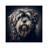Old Dog 03 (Print Only) thumbnail