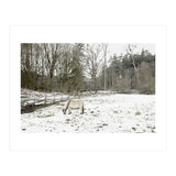 White horse in the snow field (Print Only) thumbnail
