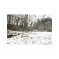 White horse in the snow field (Print Only)