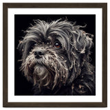 Old Dog 02 thumbnail
