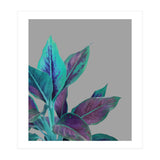 Still Nature (Print Only) thumbnail