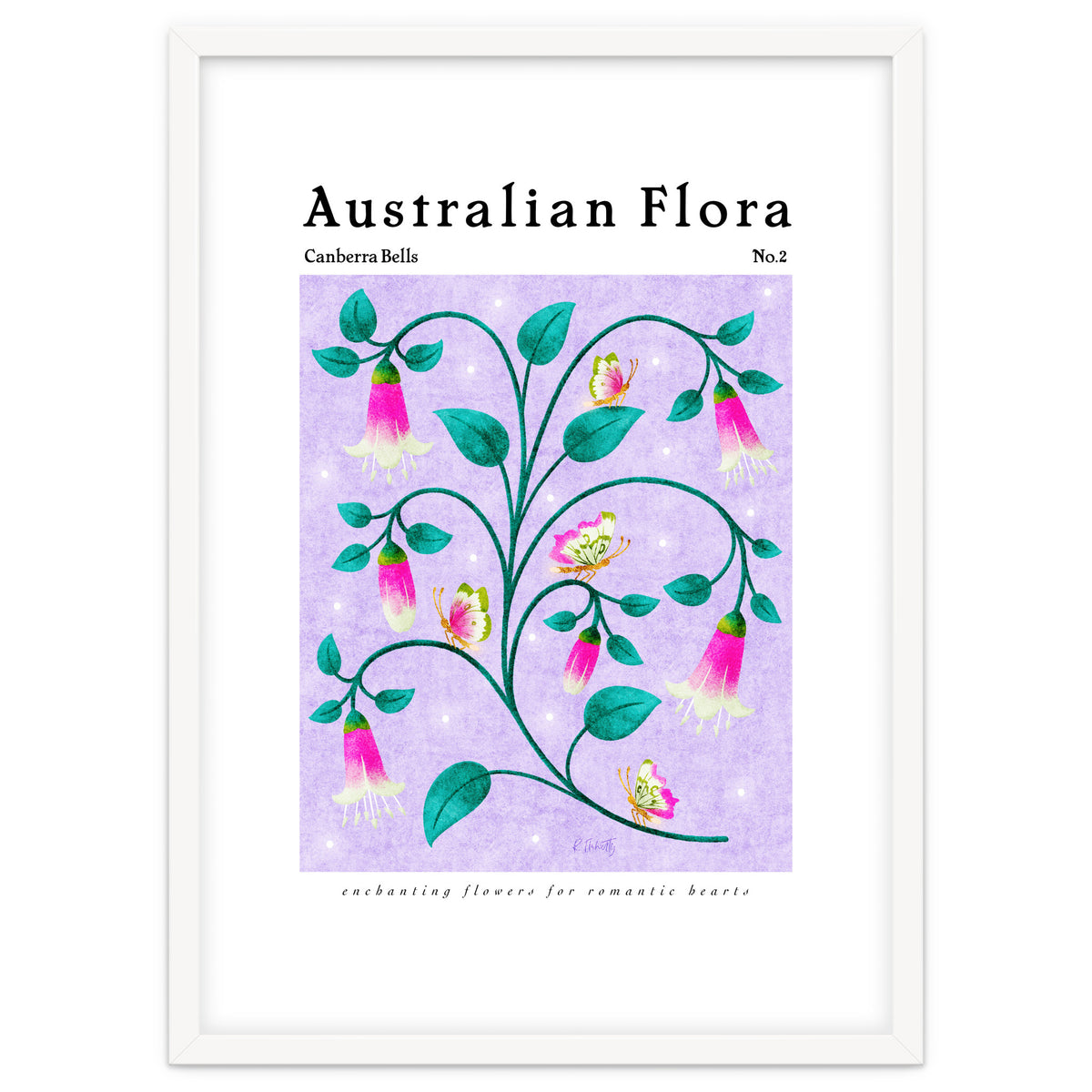 Australian Flora: Canberra Bells