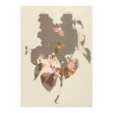 The First Plant · M2 (Print Only) thumbnail