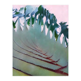 Palm Springs (Print Only) thumbnail