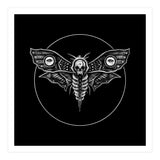 Deaths Head Moth (Print Only) thumbnail