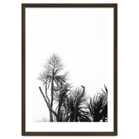 Miminalist Palm