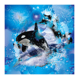 Orca (Print Only) thumbnail
