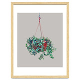 Hanging Plant thumbnail