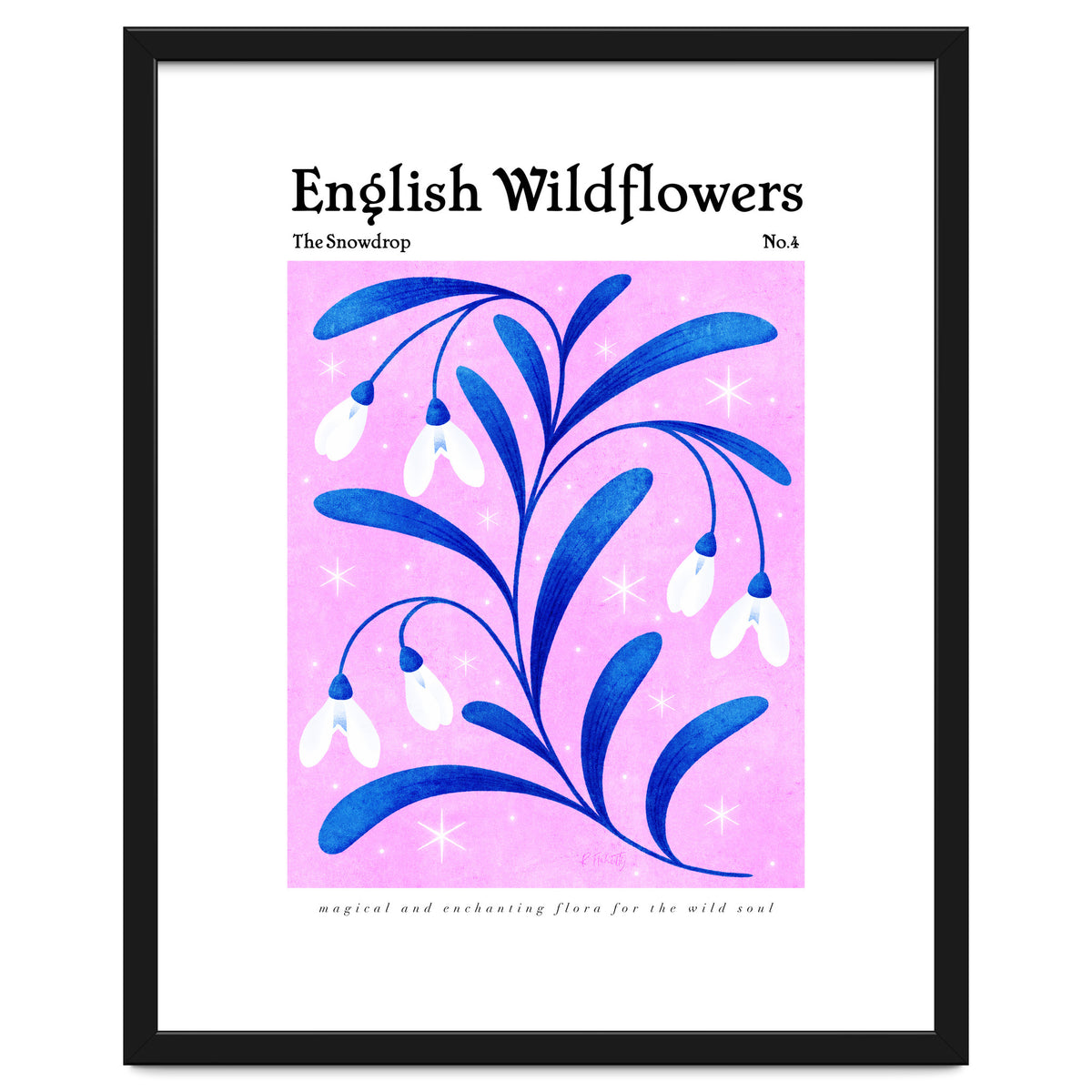 English Wildflowers | Snowdrops