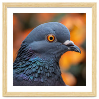 Close Up Of A Pigeon's Head And Neck