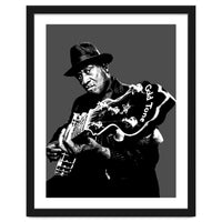 Taj Mahal American Blues Musician Legend