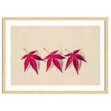 Dancing Leaves thumbnail