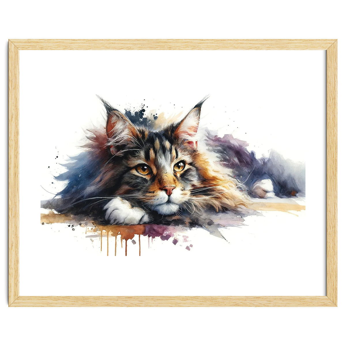 Maine Coon Resting Portrait