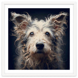 Old Dog 07 thumbnail