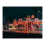 Carousell (Print Only) thumbnail