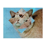 The Depressive Cat Am Abend Bekommt Den Blues (Print Only) thumbnail