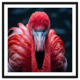Close Up Flamingo Face With Water Droplets thumbnail