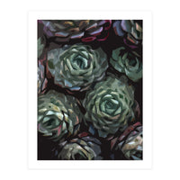 Succulent Plant Ii (Print Only)