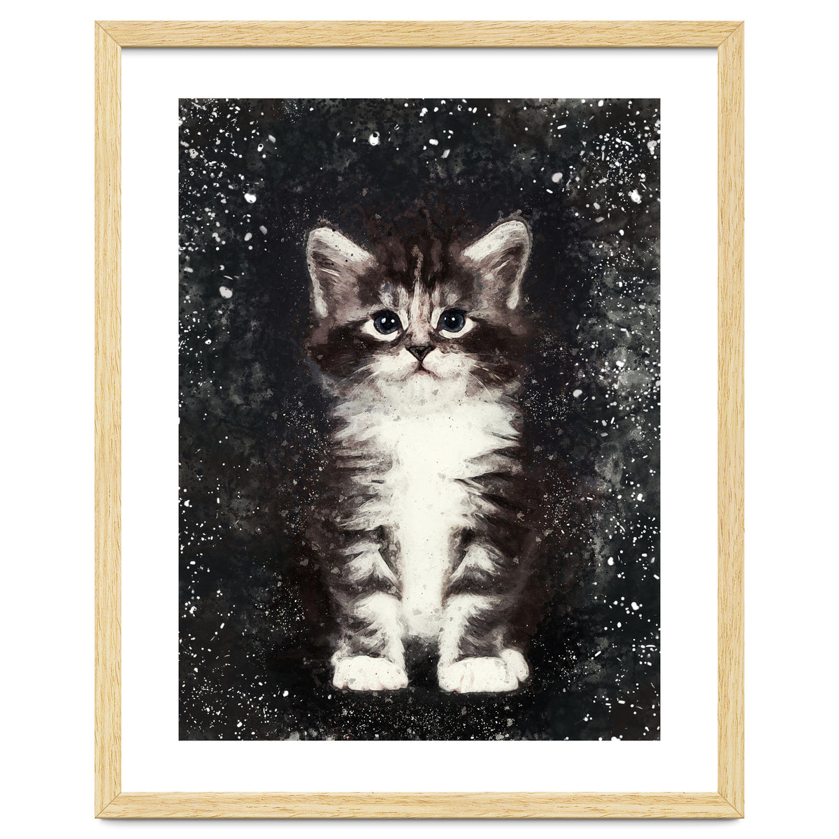 Bicolor Cute Kitten Portrait