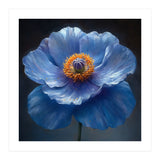 Meconopsis | Sapphire Serenade (Print Only) thumbnail