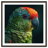 Close Up Colorful Parrot Bird Feather thumbnail