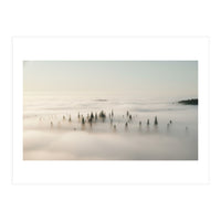 Misty Peaks: Pine Forest Above the Clouds (Print Only)