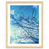 Winter thumbnail