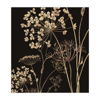 Wildflowers I (Print Only)