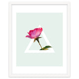 Rose thumbnail