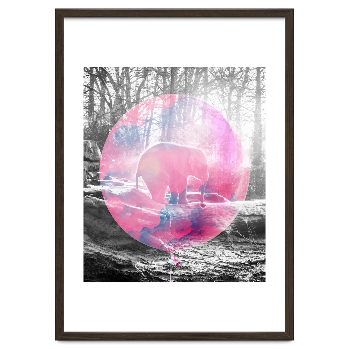 Baby Elephant In A Balloon