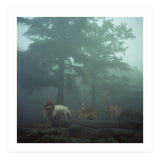 Silence of breath - 05 (Print Only) thumbnail