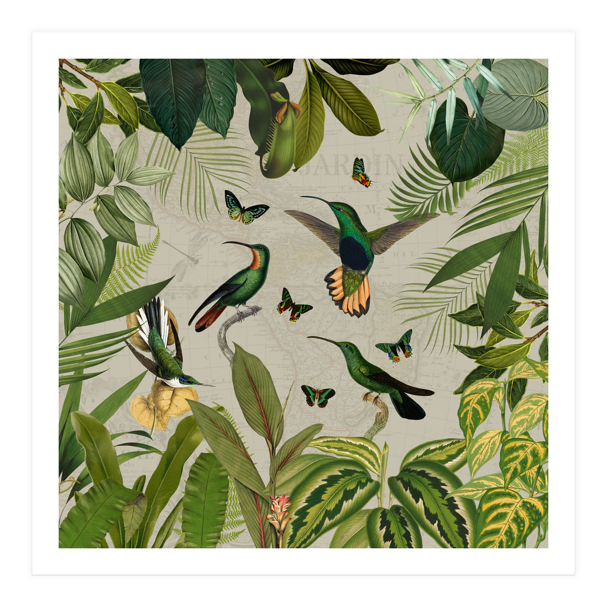 Vintage Exotic Hummingbirds Jungle (Print Only)