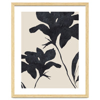 Shadowed Blooms